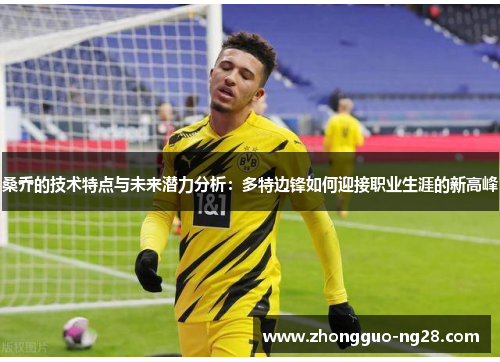 桑乔的技术特点与未来潜力分析：多特边锋如何迎接职业生涯的新高峰