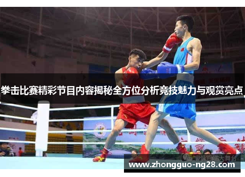 拳击比赛精彩节目内容揭秘全方位分析竞技魅力与观赏亮点