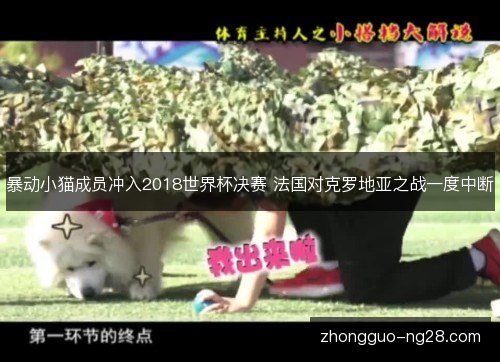 暴动小猫成员冲入2018世界杯决赛 法国对克罗地亚之战一度中断 暴动小猫成员冲入2018世界杯决赛 法国对克罗地亚之战一度中断